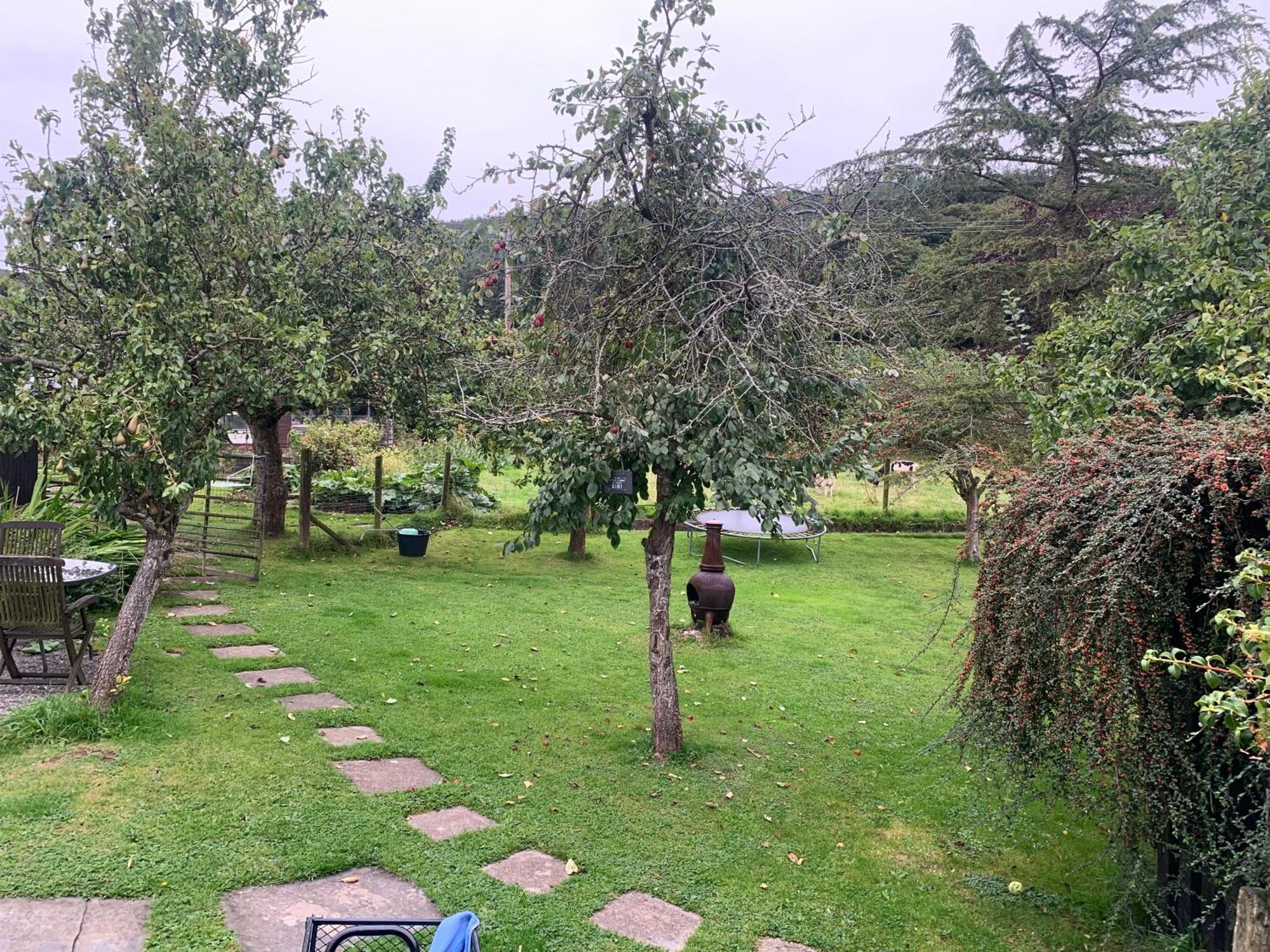 Stunning 2-Bed Cabin In Nantglyn Denbigh Exterior foto
